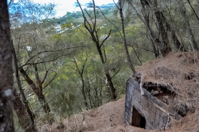 Well-hidden. Coming upon the Bunker from above, unawares. Photo by James MacLaren.